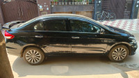 Maruti Suzuki Ciaz Alpha mt 2025 Model