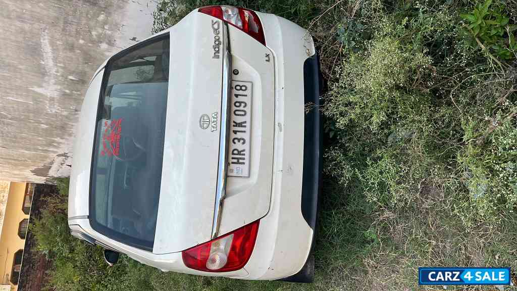 Ivory Tata Indigo Ecs
