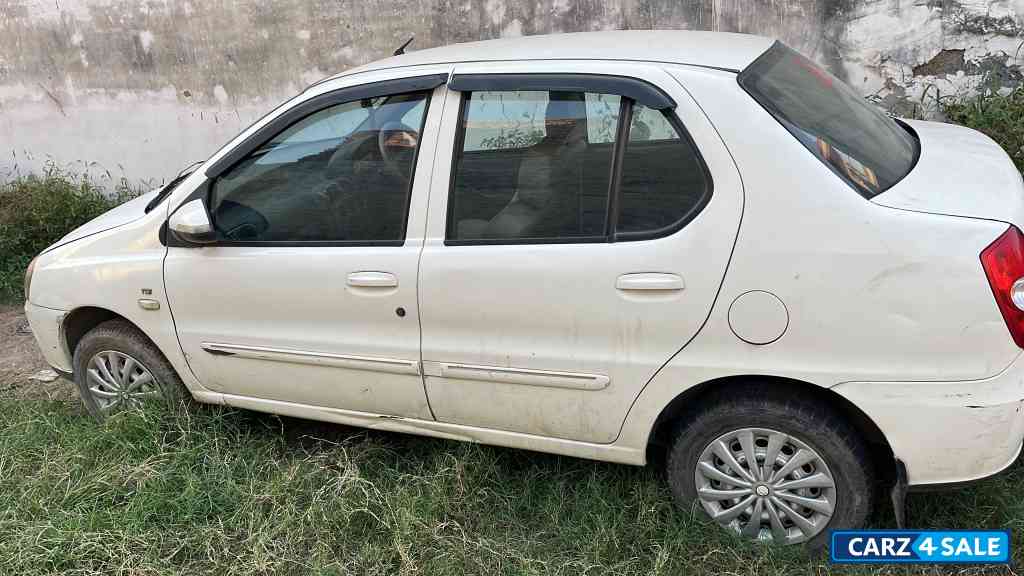 Ivory Tata Indigo Ecs