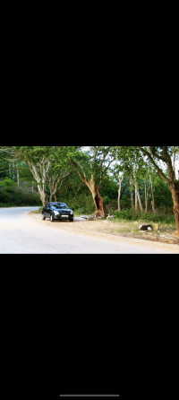 Ford Figo 1.4 Titanium Diesel