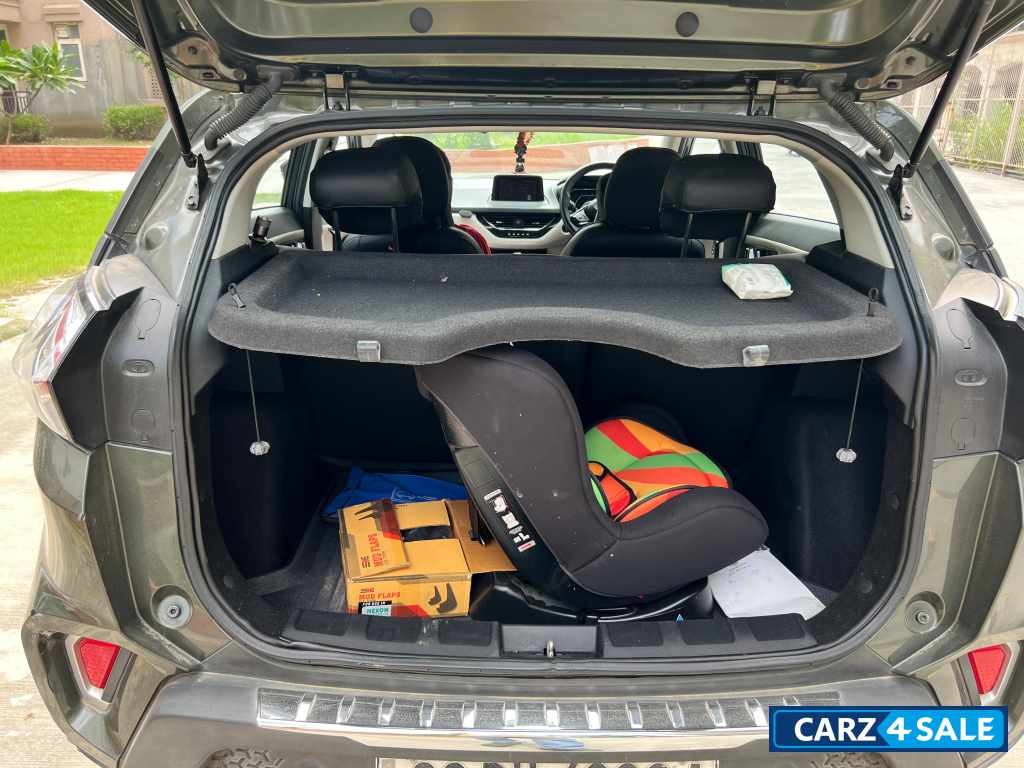 Foliage Green Tata Nexon XZ+S