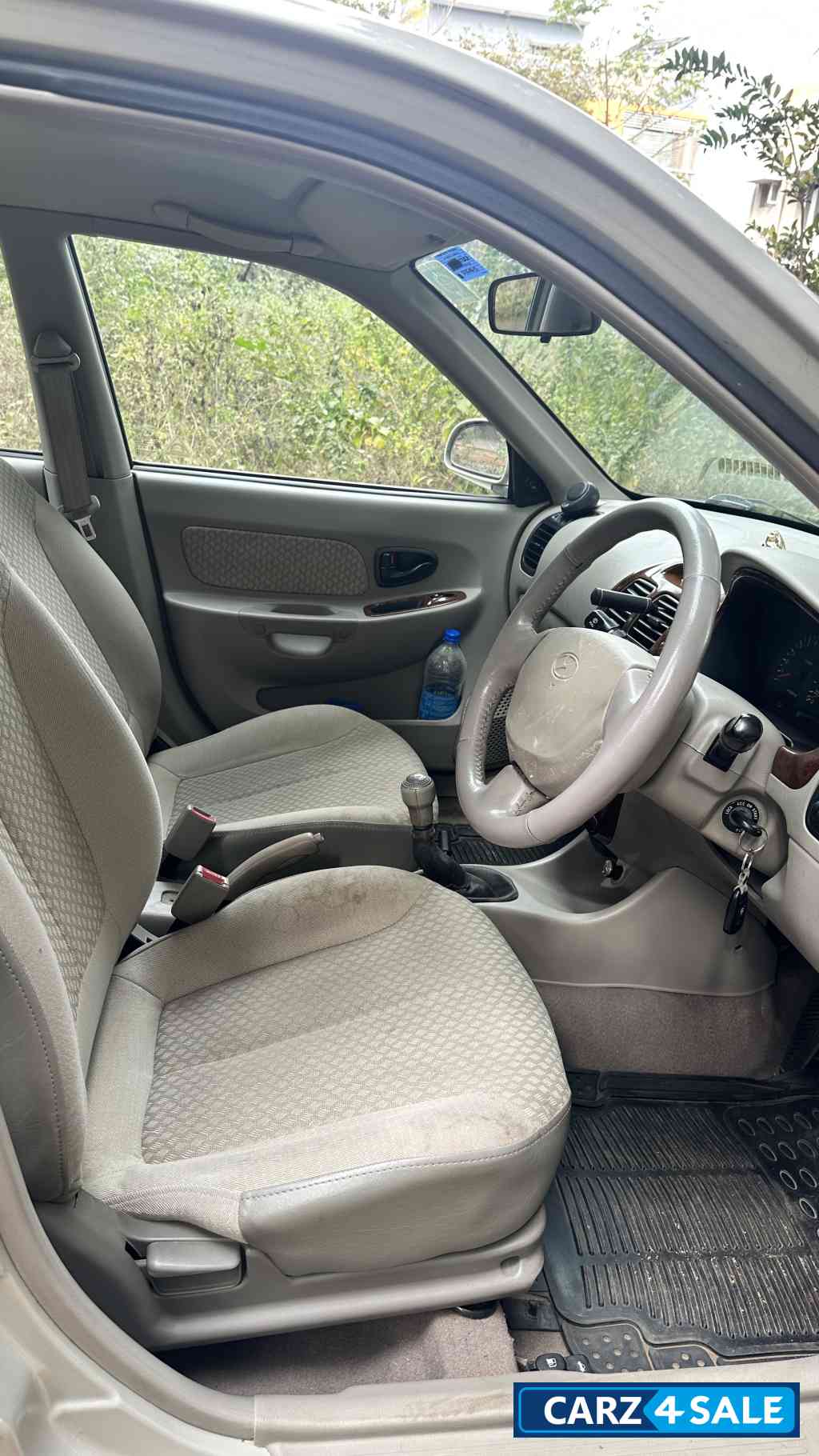 Mushroom Hyundai Accent Executive Mushroom Hyundai Accent Executive