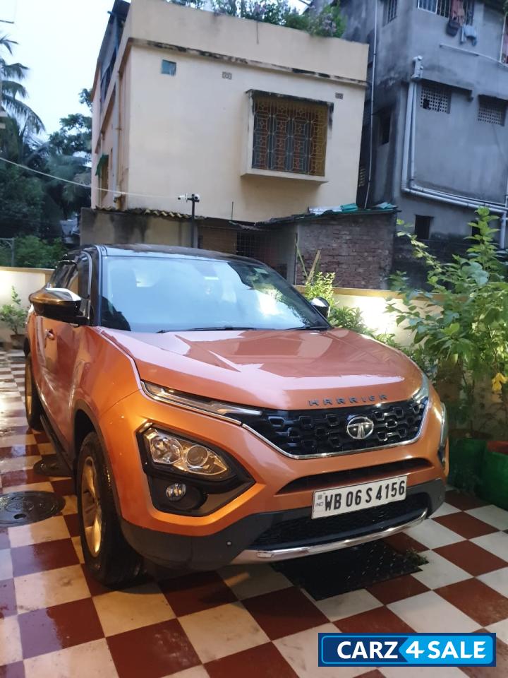 Calico Copper Tata Harrier XZ Dual Tone