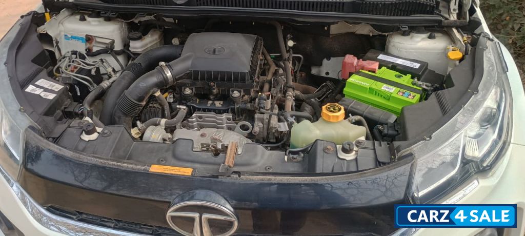 White And Grey Tata Nexon XZ+HS White And Grey Tata Nexon XZ+HS