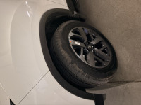 White Tata Safari Adventure persona XZA PLUS Optional with ADAS & 360* camera