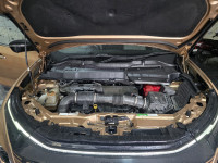 Cosmic Gold Tata Safari Accomplished Plus