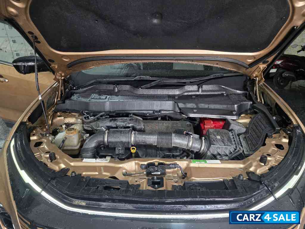 Cosmic Gold Tata Safari Accomplished Plus