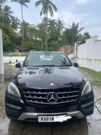 Mercedes-Benz ML-Class ML250 4MATIC