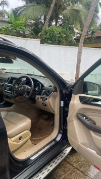 Mercedes-Benz ML-Class ML250 4MATIC