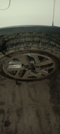 Tata 2021 Model