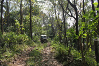 Black Willys CJ3B
