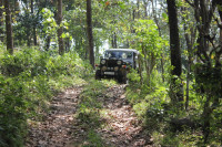 Black Willys CJ3B