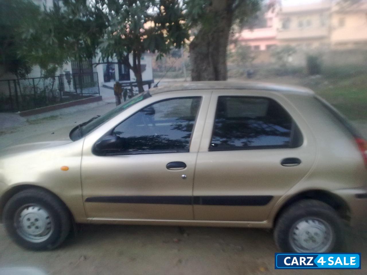 Golden Fiat Palio