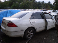 White Honda Accord