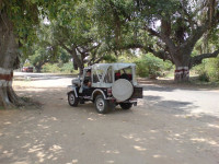 Black Willys CJ3B